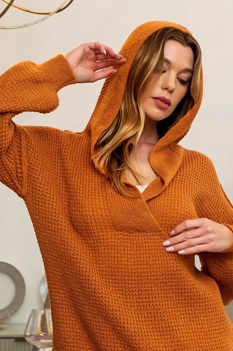 BiBi Raw Edge Detail V-Neck Sweater Hoodie