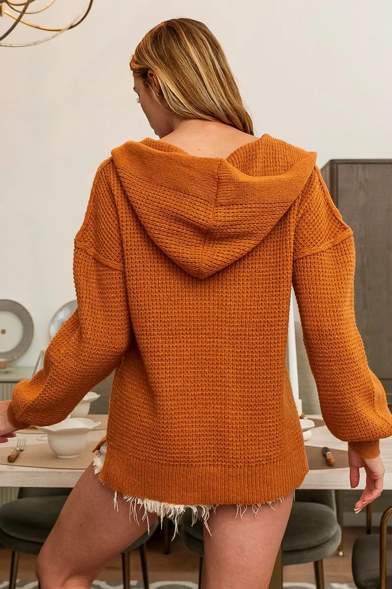 BiBi Raw Edge Detail V-Neck Sweater Hoodie