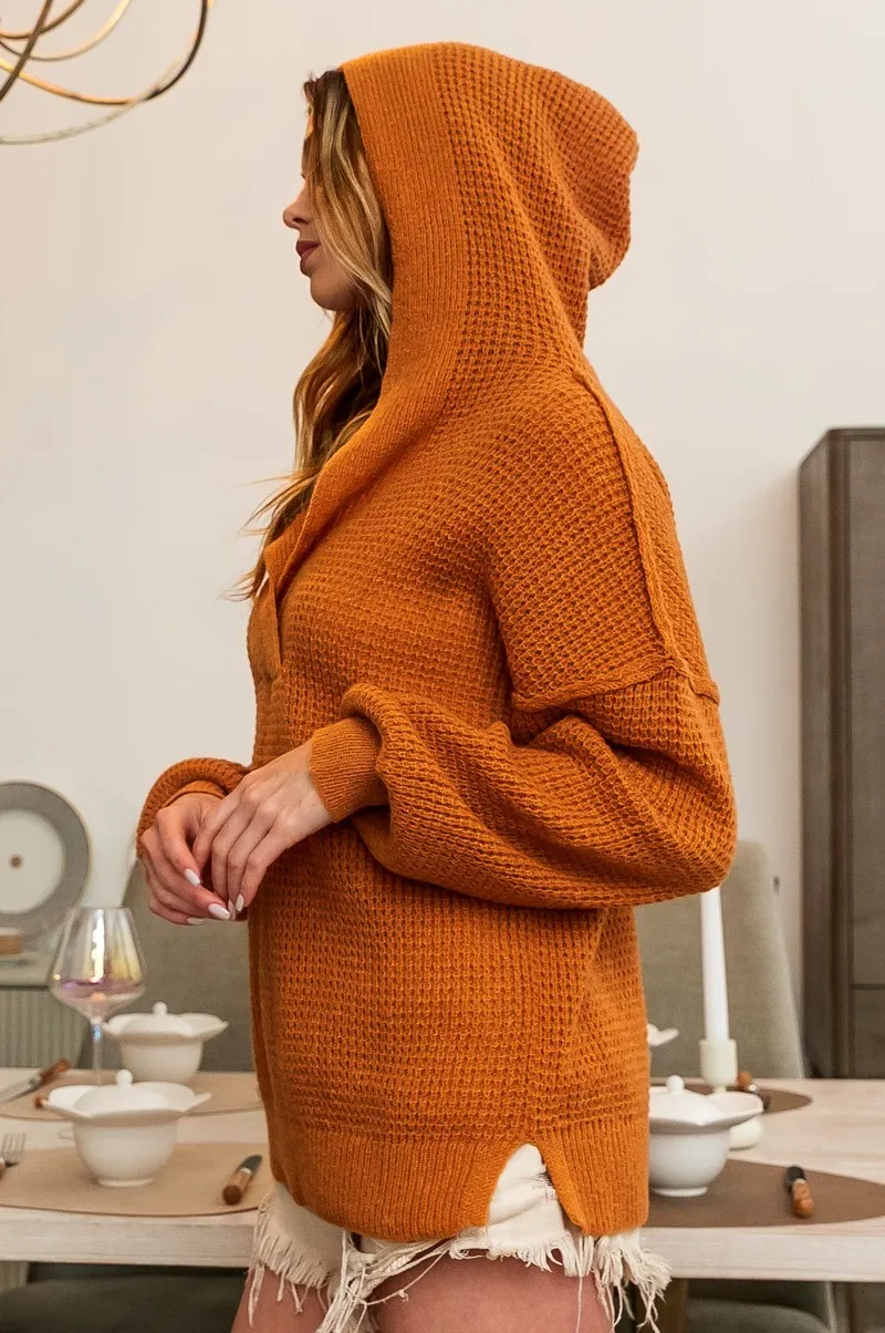 BiBi Raw Edge Detail V-Neck Sweater Hoodie