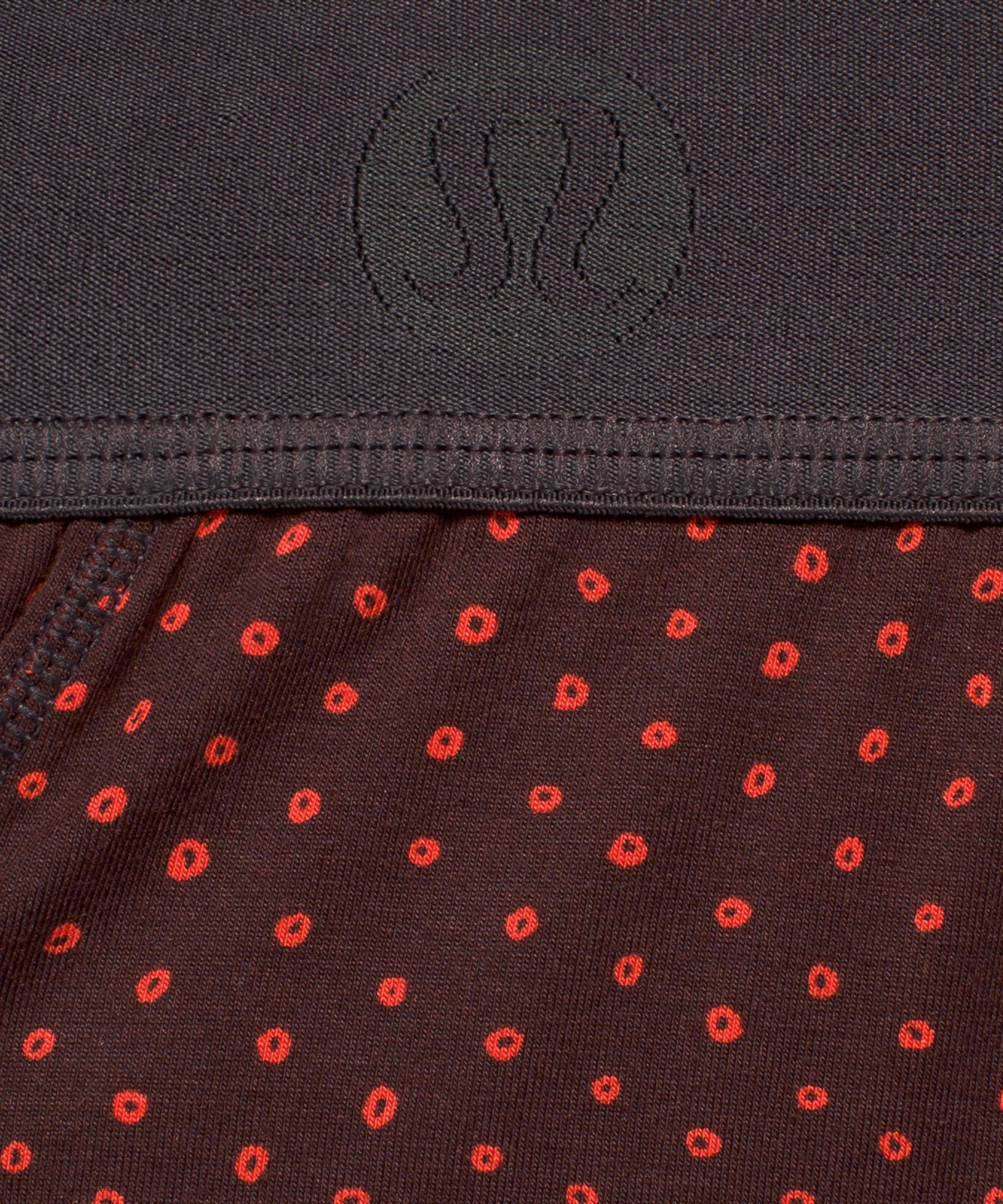 Always In Motion Boxer 5