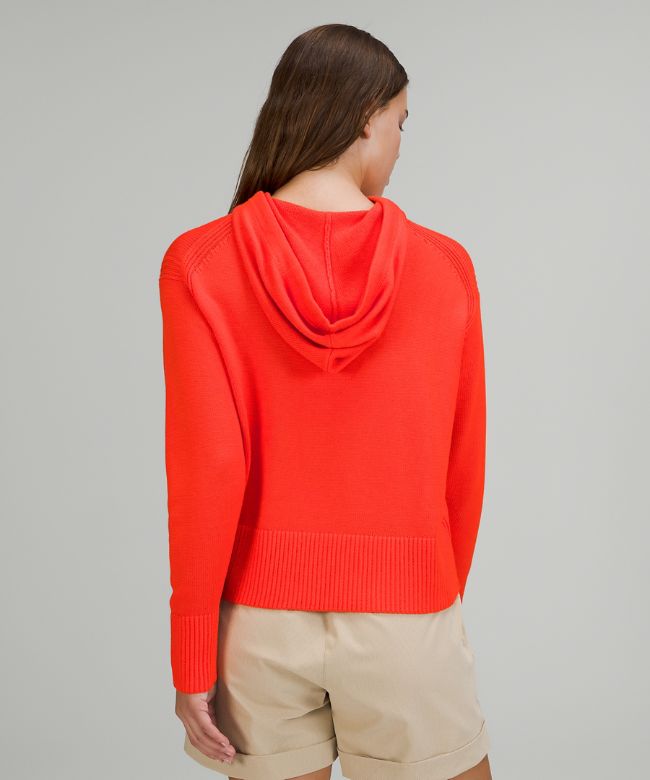 Double Knit Sweater Hoodie