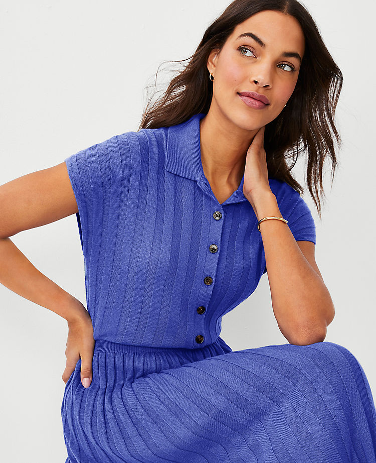 Ribbed Polo Sweater Dress