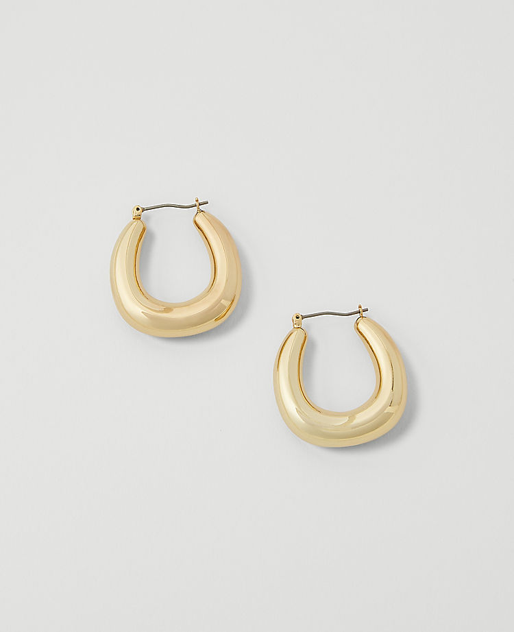Chunky Hoop EarRings