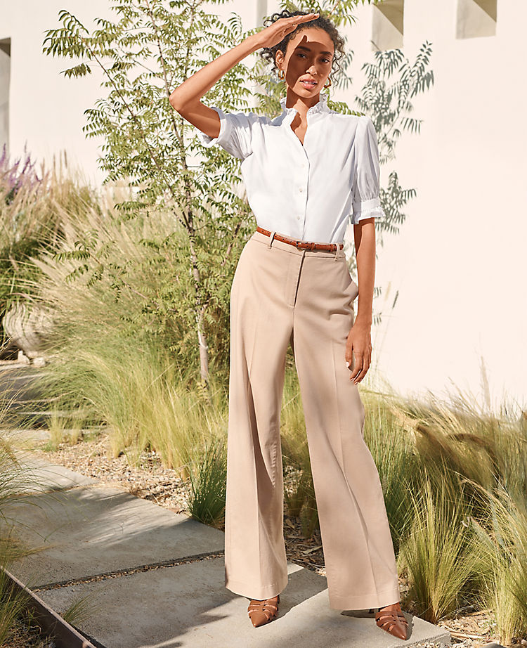 Ann Taylor Outlet |  The Wide Leg Pant in Cotton