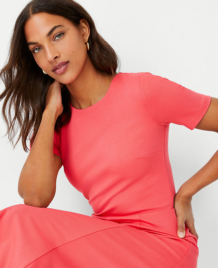 Ann Taylor Outlet |  Short Sleeve Flare Dress