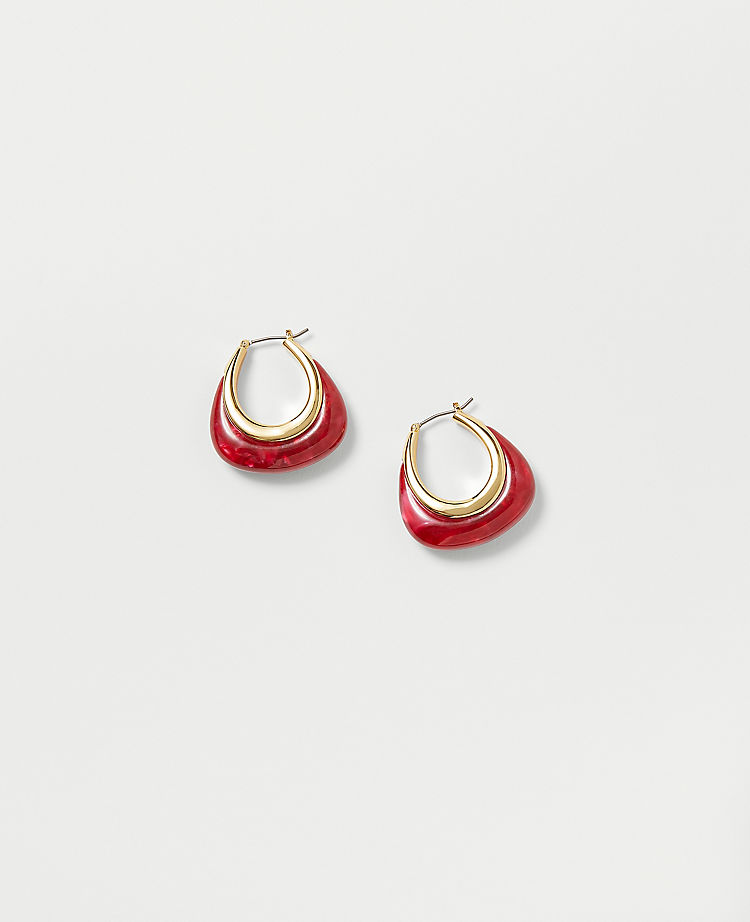 Tortoiseshell Print Hoop EarRings