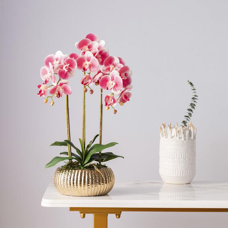 Simulation Flower Phalaenopsis Set Bonsai Potted Ornaments