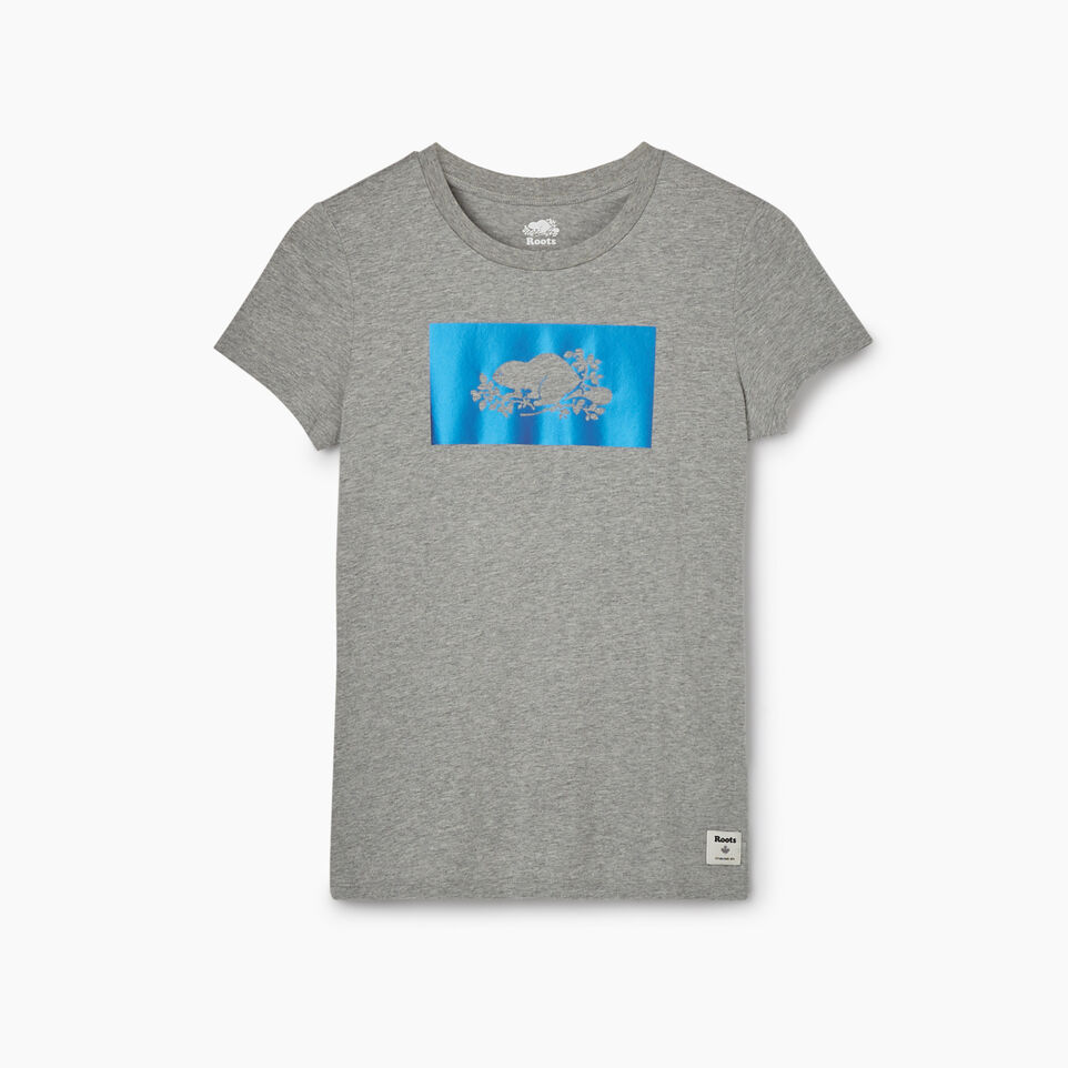 Roots Womens Chroma Cooper T-shirt
