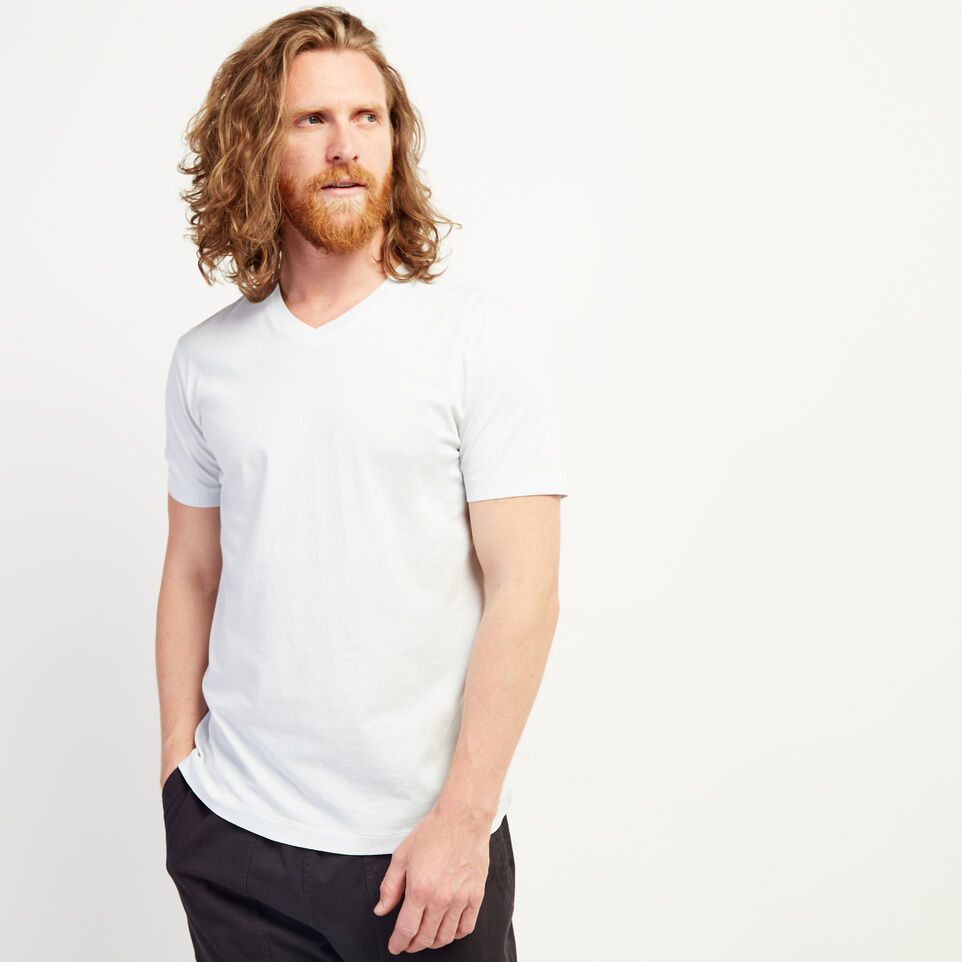 Roots Essential V-neck T-shirt