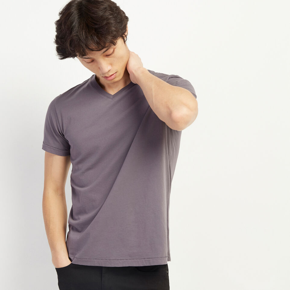 Roots Essential V-neck T-shirt