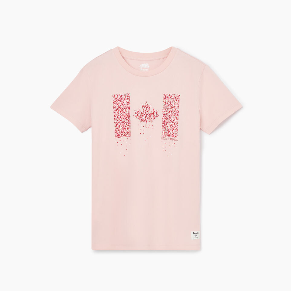 Roots Womens Canada Flag T-shirt
