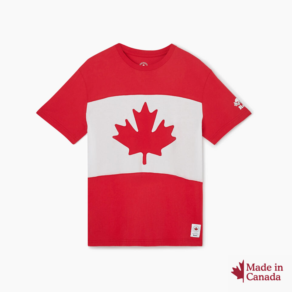 Roots Mens Blazon T-shirt