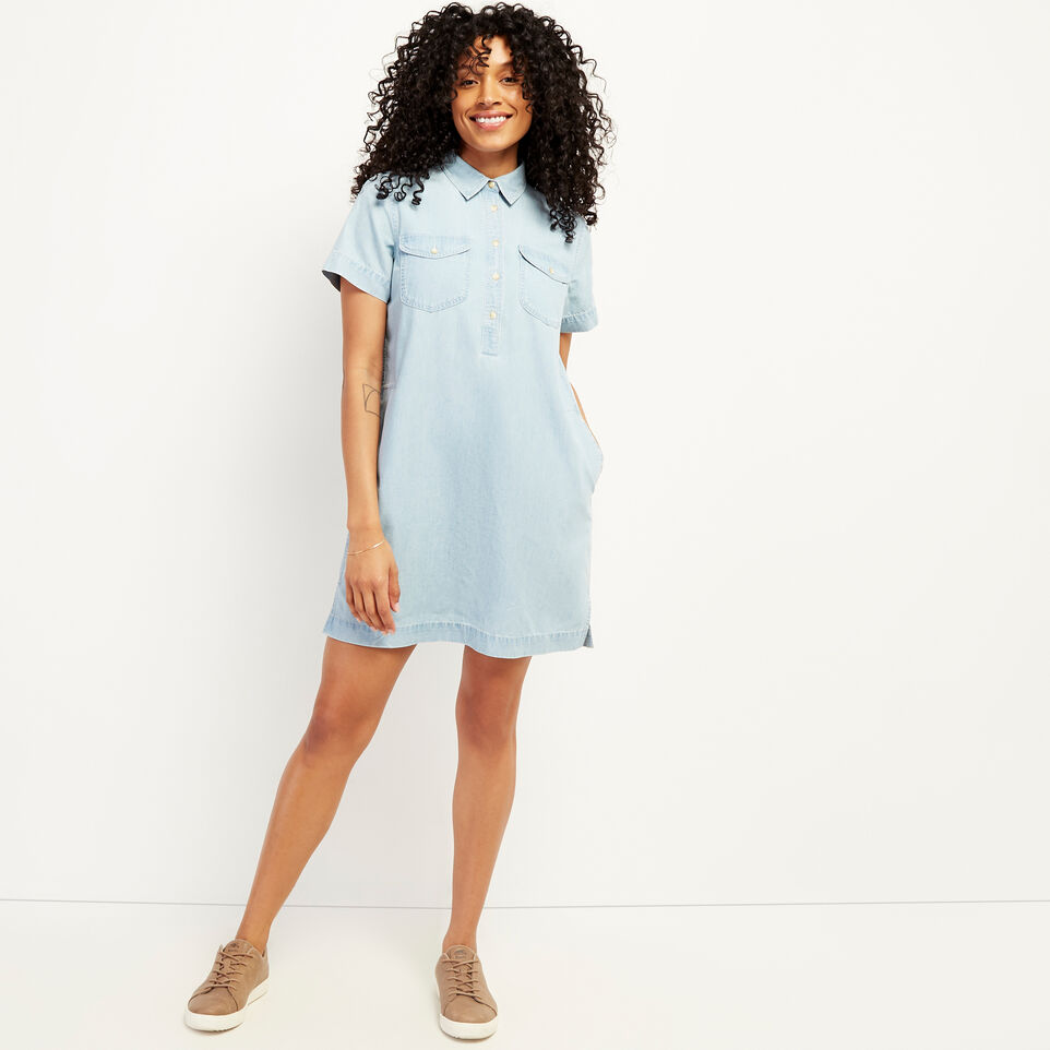 Roots Sherbrook Chambray Dress