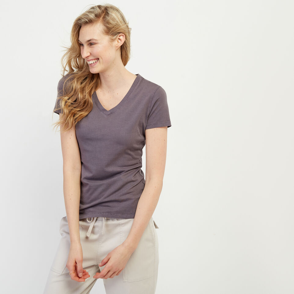 Roots Essential Slim V-neck T-shirt