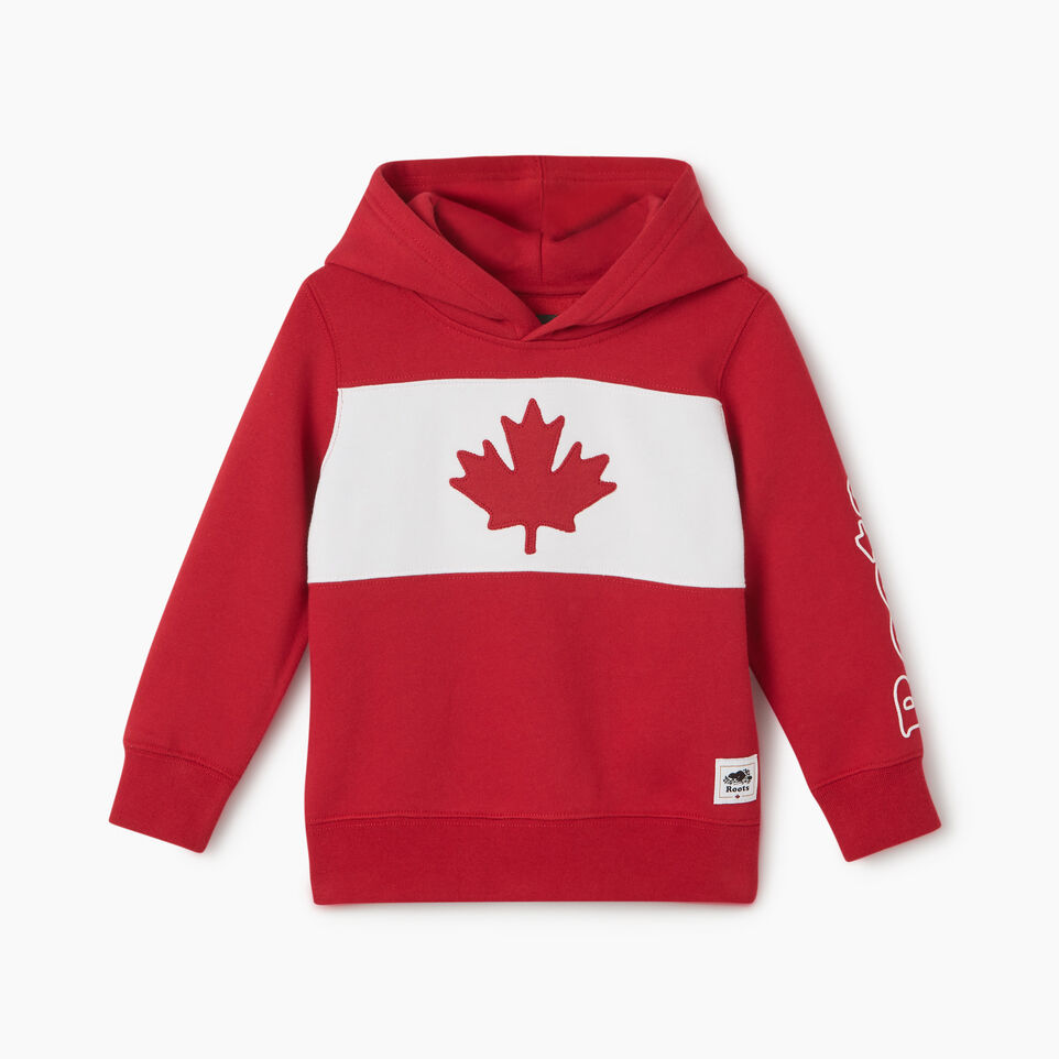 Roots Toddler Blazon Hoody