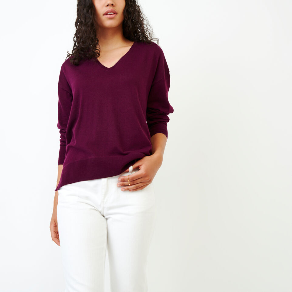 Roots Fauna V Neck Sweater