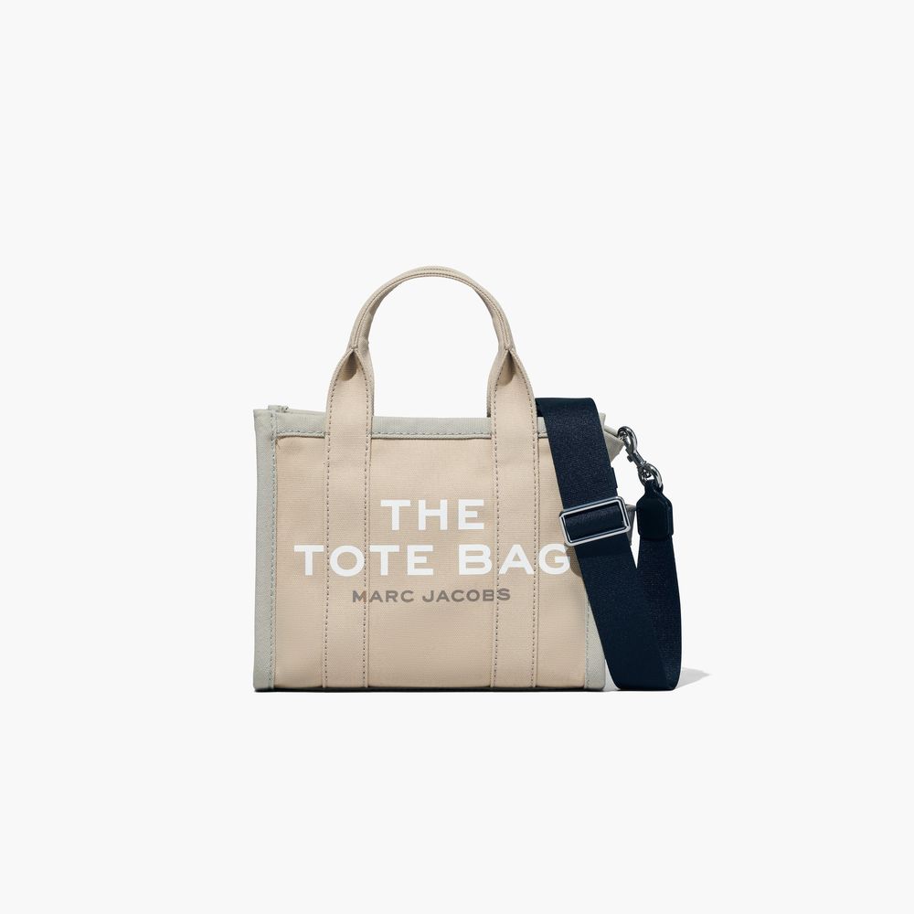 The Colorblock Mini Tote Bag