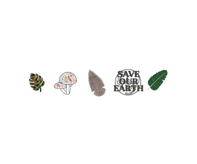 Save Our Earth Sandal Backer 5 Pack