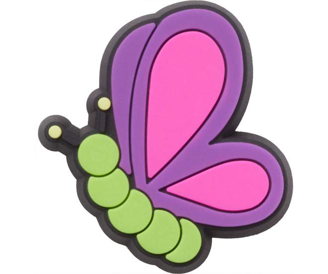 Colorful Butterfly