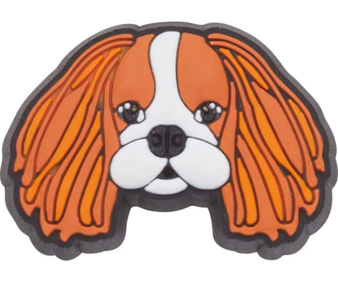 Cavalier Dog
