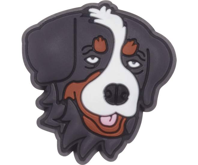 Bernese Mountain Dog