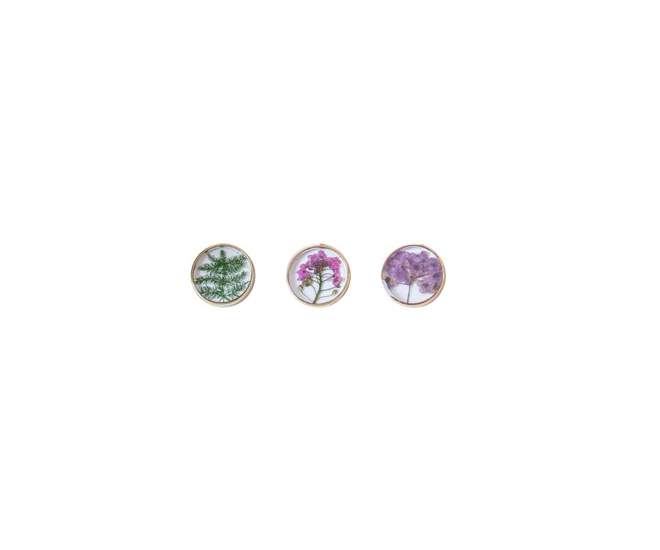 Encapsulated Flower 3 Pack