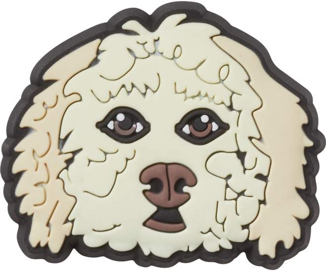 Golden Doodle