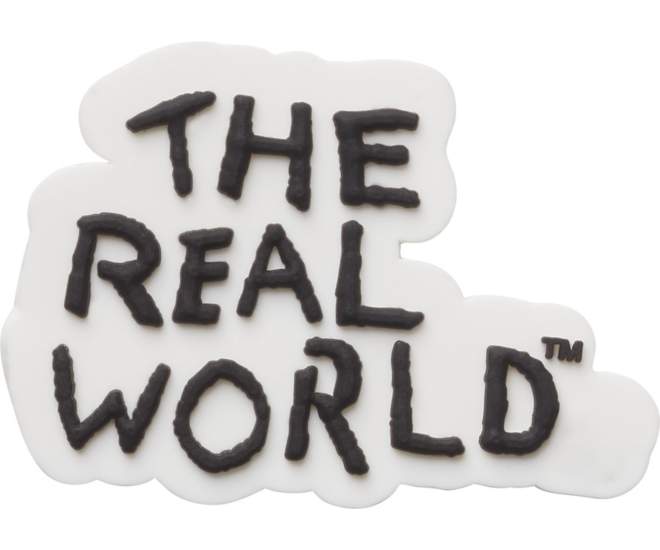 MTV The Real World