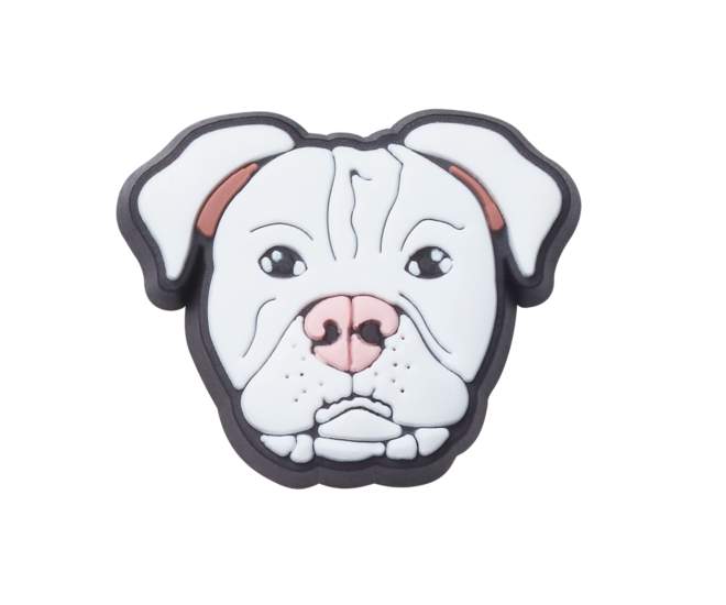 White Pitbull