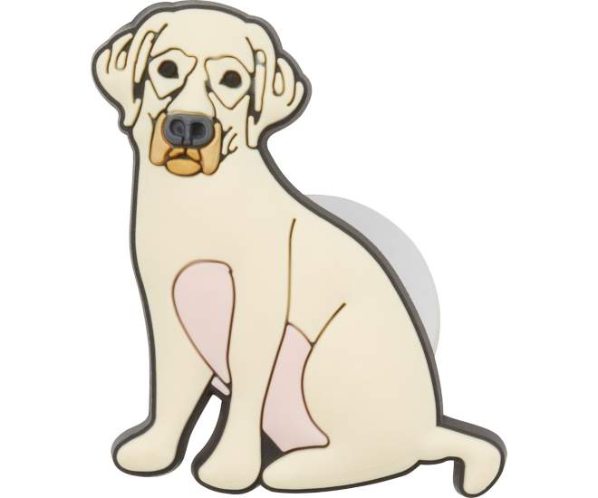 Yellow Lab