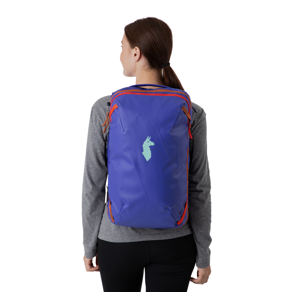 Allpa 28L Travel Pack