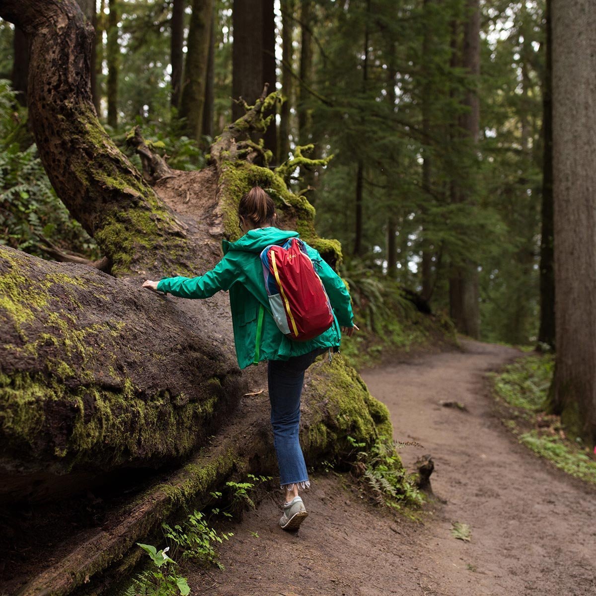 Batac 16L Backpack - Del Día