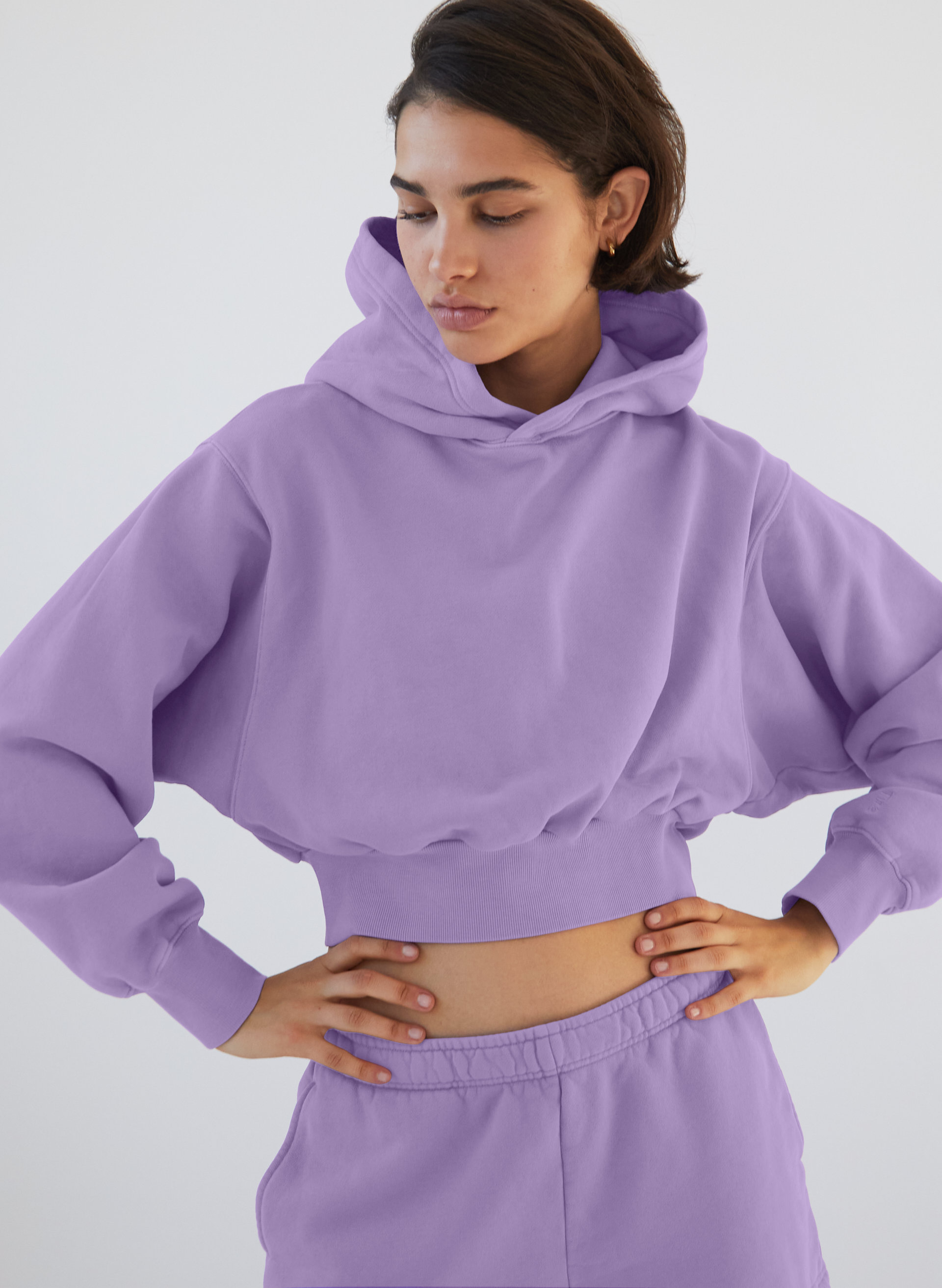 Cozy Fleece Perfect Shrunken Hoodie