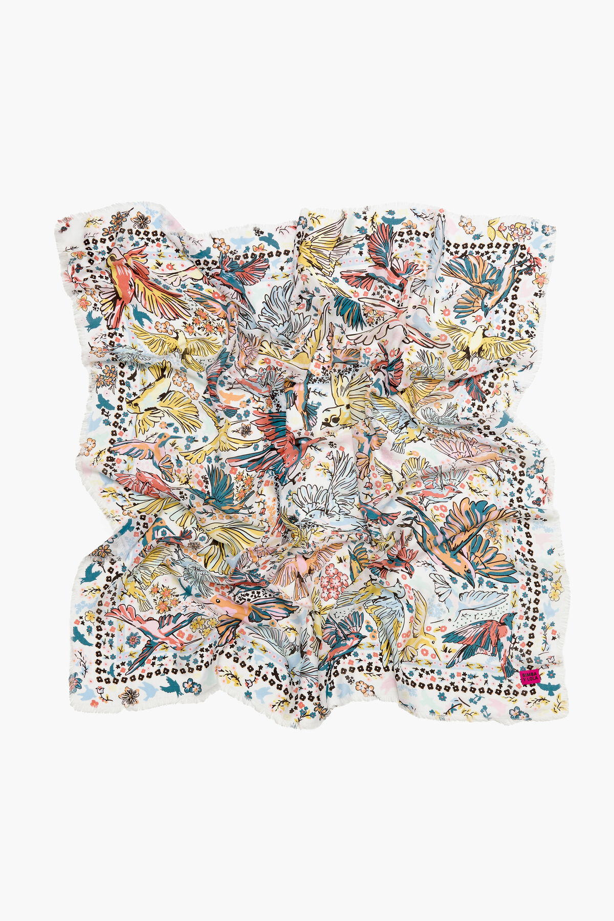 Chal pájaros blanco