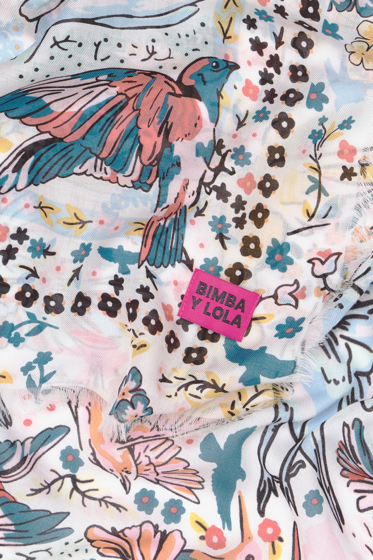 Chal pájaros blanco