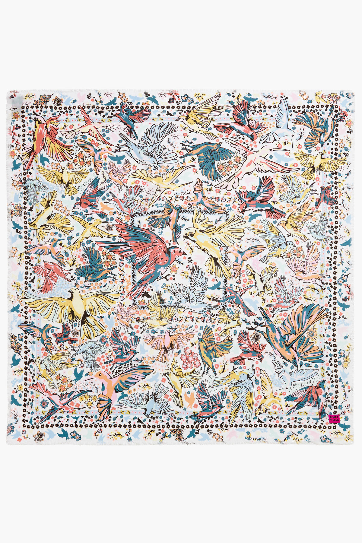 Chal pájaros blanco