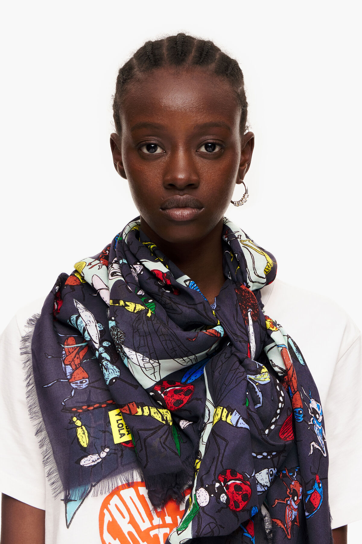 Chal insectos y logo gris