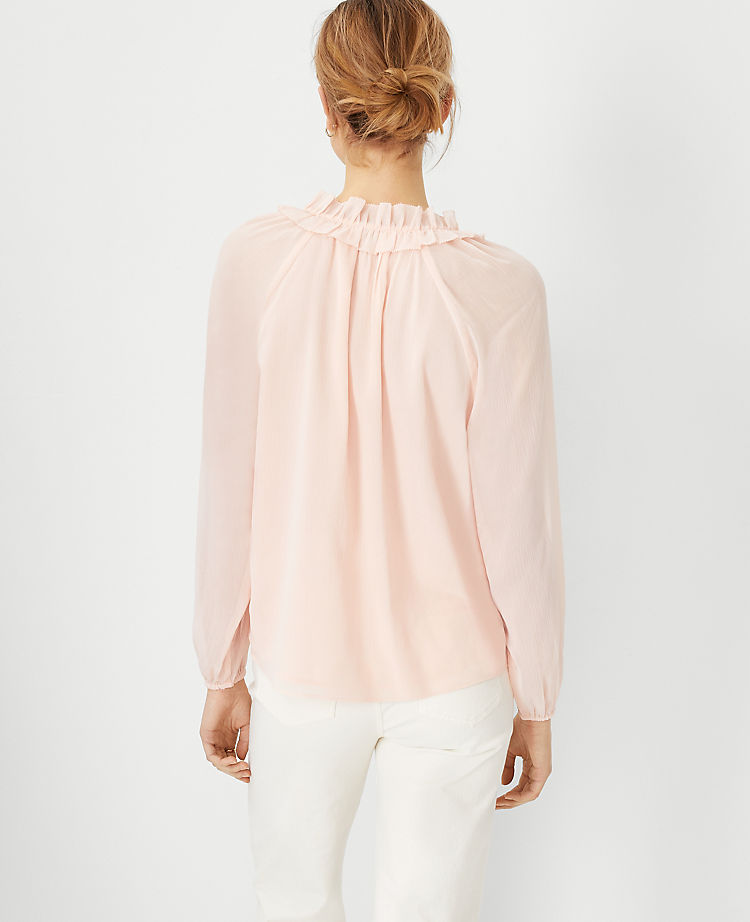 Ruffled Raglan Sleeve Top