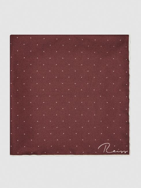 Liam Silk Polka Dot Tie