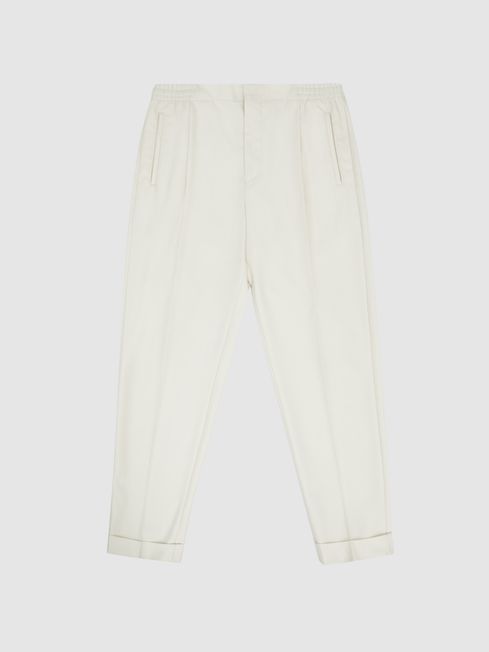 Brighton Pleat Front Trousers