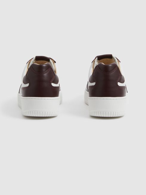 Aira Low Top Leather Trainers
