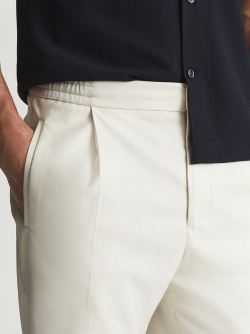 Brighton Pleat Front Trousers