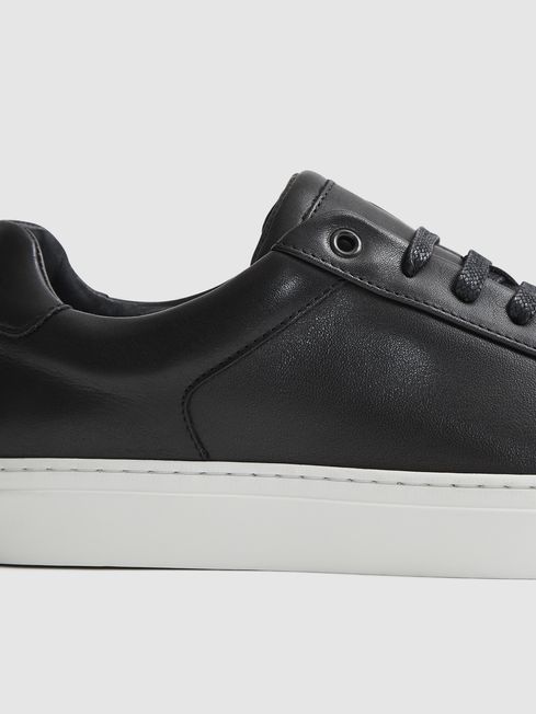 Ashley Leather Trainers