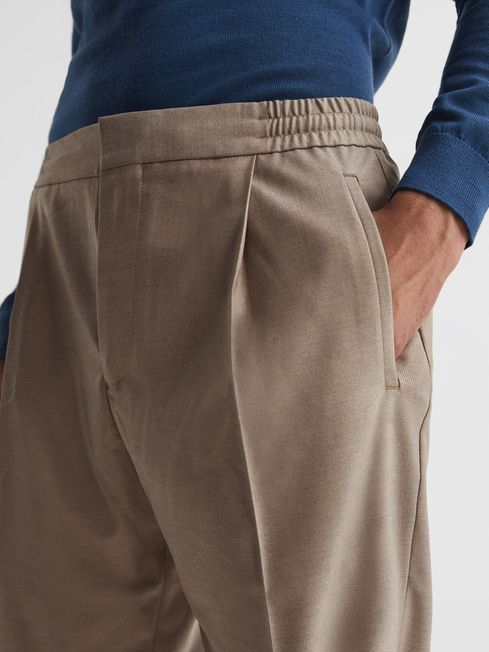 Brighton Pleat Front Trousers