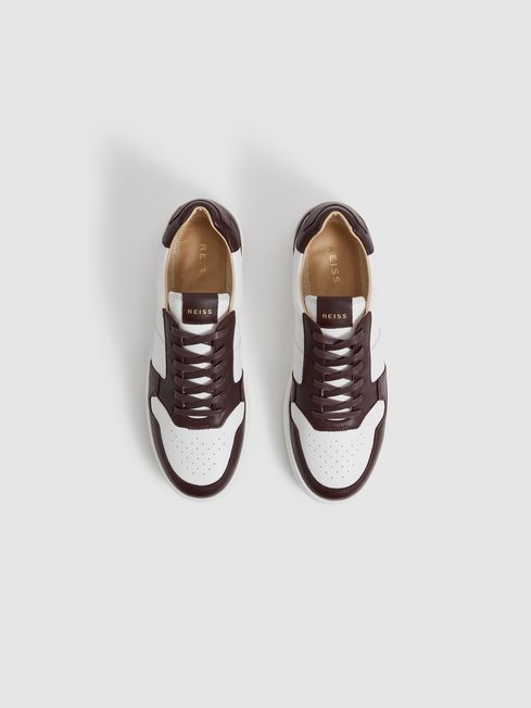 Aira Low Top Leather Trainers