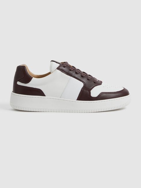 Aira Low Top Leather Trainers