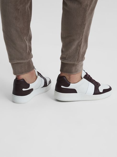 Aira Low Top Leather Trainers