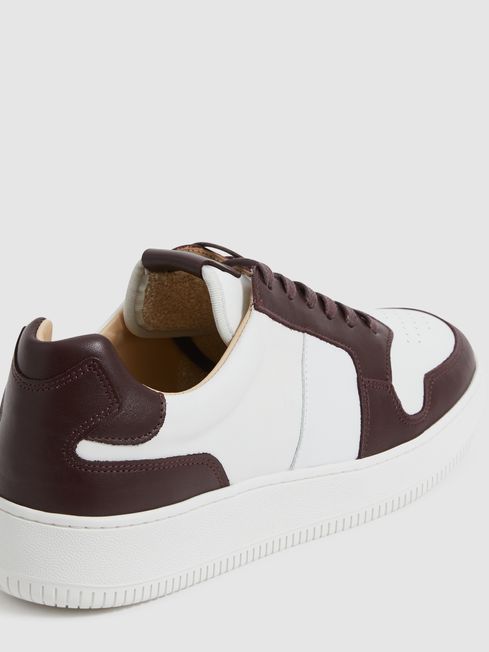 Aira Low Top Leather Trainers
