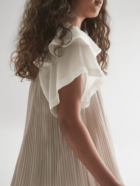 Ariella Metallic Pleated Dress