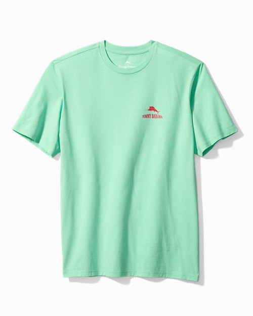 Big and Tall I Need a Time Out Graphic T-Shirt